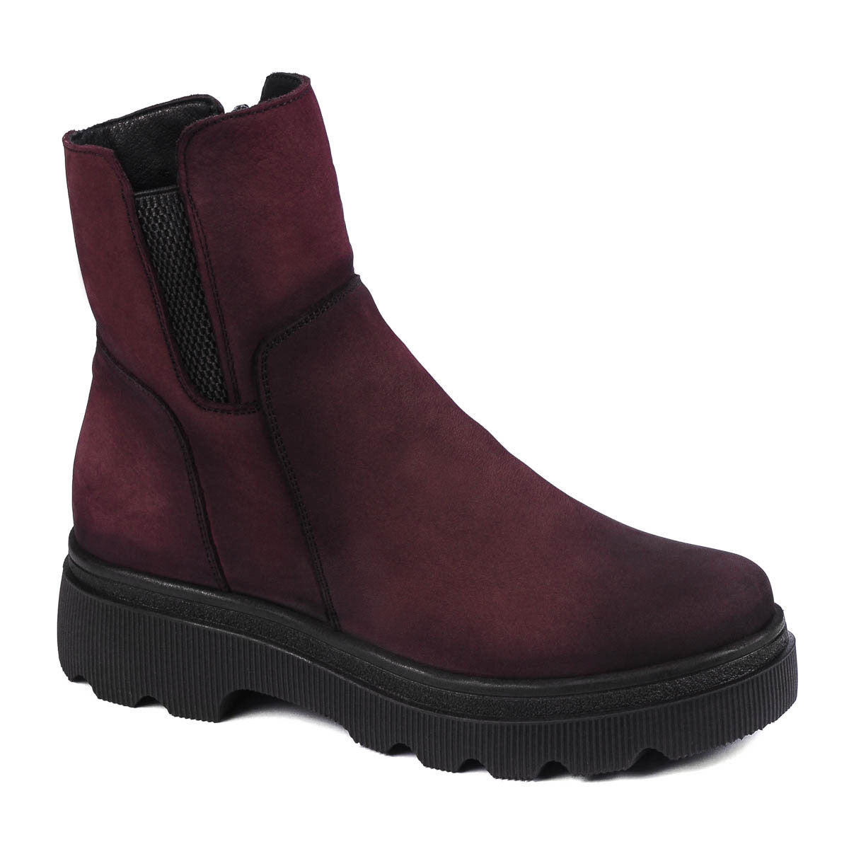 3381 bufo bordo